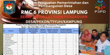 Progres Data Media Layanan Serta Sarana Prasarana Dukungan Penyelesaian Pengaduan dan Penanganan Masalah