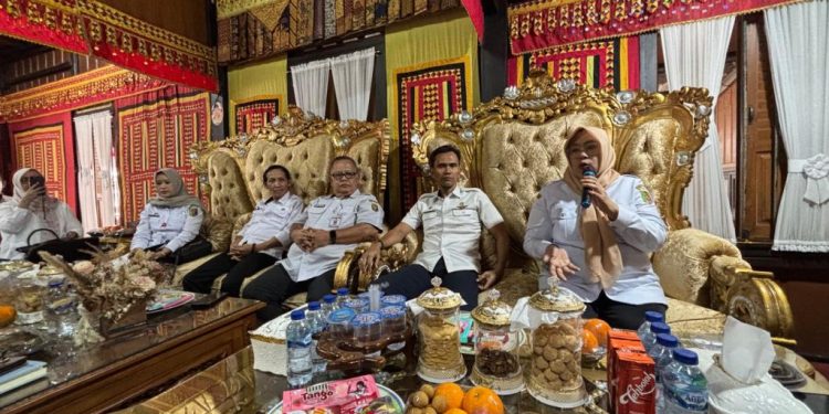 Audiensi Tim Evaluasi Penataan Desa Provinsi Lampung Bersama Bupati Tanggamus