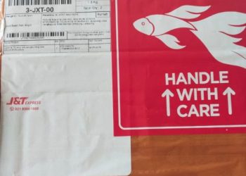 Serangan DDoS hingga Paket Misterius, Media Lampung Diduga Diteror