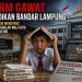 Alarm Gawat Pendidikan Kota Tapis Berseri, BOSDA dan Polemik SMA Siger Jadi Sorotan