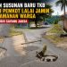 Jalan Susunan Baru Jadi Sorotan, Warga Nilai Eva Dwiana Lebih Sayang Jaksa daripada Rakyat