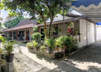 Dari Sawah Klaten hingga Desa Lampung: Cerita Dua Dunia