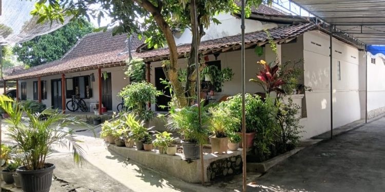 Dari Sawah Klaten hingga Desa Lampung: Cerita Dua Dunia