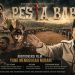 Polemik Film Pesta Babi Dinilai Cerminkan Sensitifnya Isu Lingkungan dan Adat
