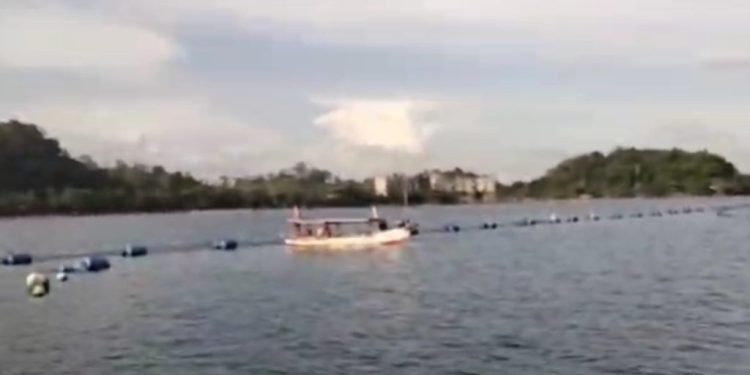 Pemerhati Lingkungan Ingatkan Risiko Konflik Berkepanjangan di Pesisir Lampung